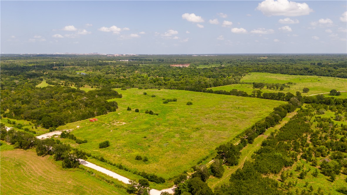 Tbd Leonard Road Bryan, TX 77807 - Photo 4 of 8 Bird's eye view of a forest