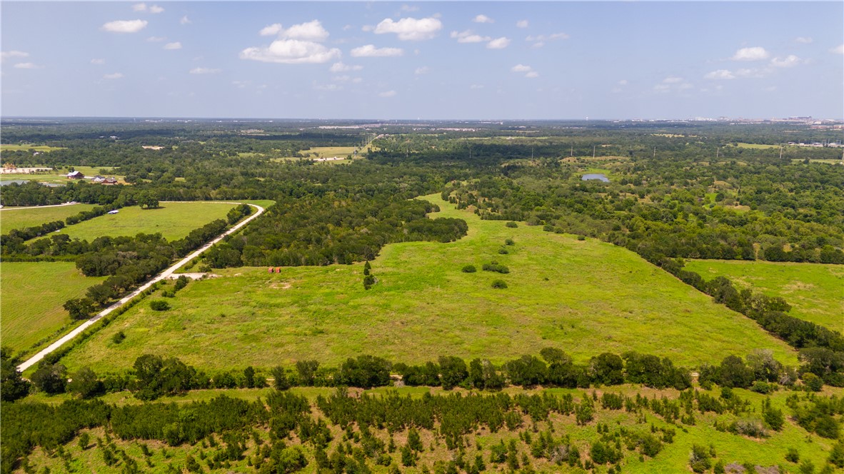 Tbd Leonard Road Bryan, TX 77807 - Photo 5 of 8 Bird's eye view of a forest
