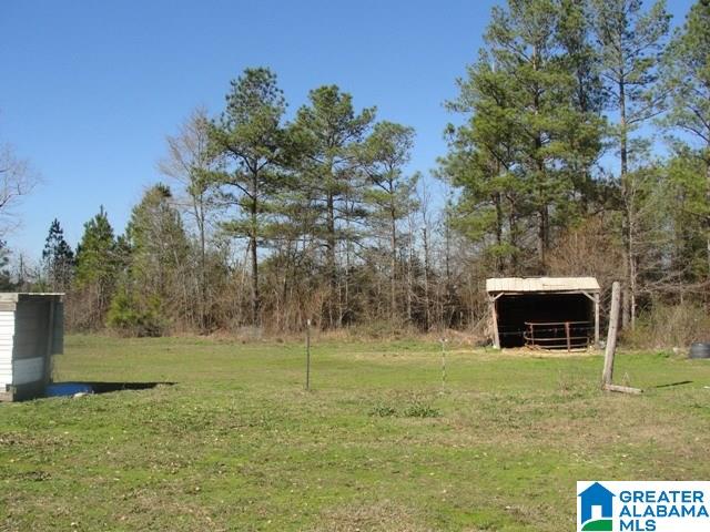 4875 Eastaboga Road Talladega, AL 35160 - Photo 28 of 36