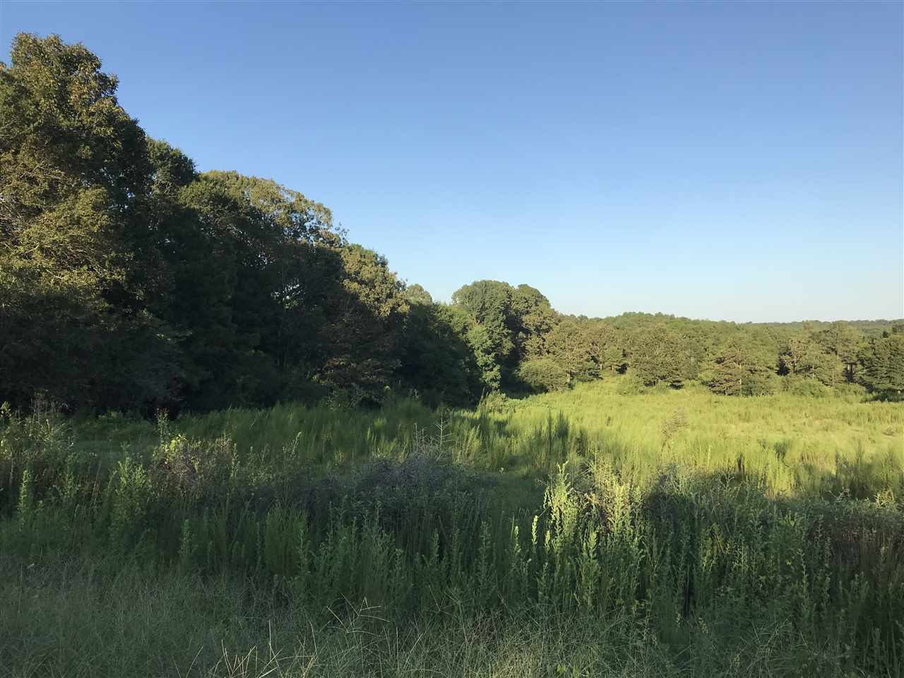 81-acres Bates Road Red Level, AL 36474 - Photo 3 of 11 Gallery Image 3
