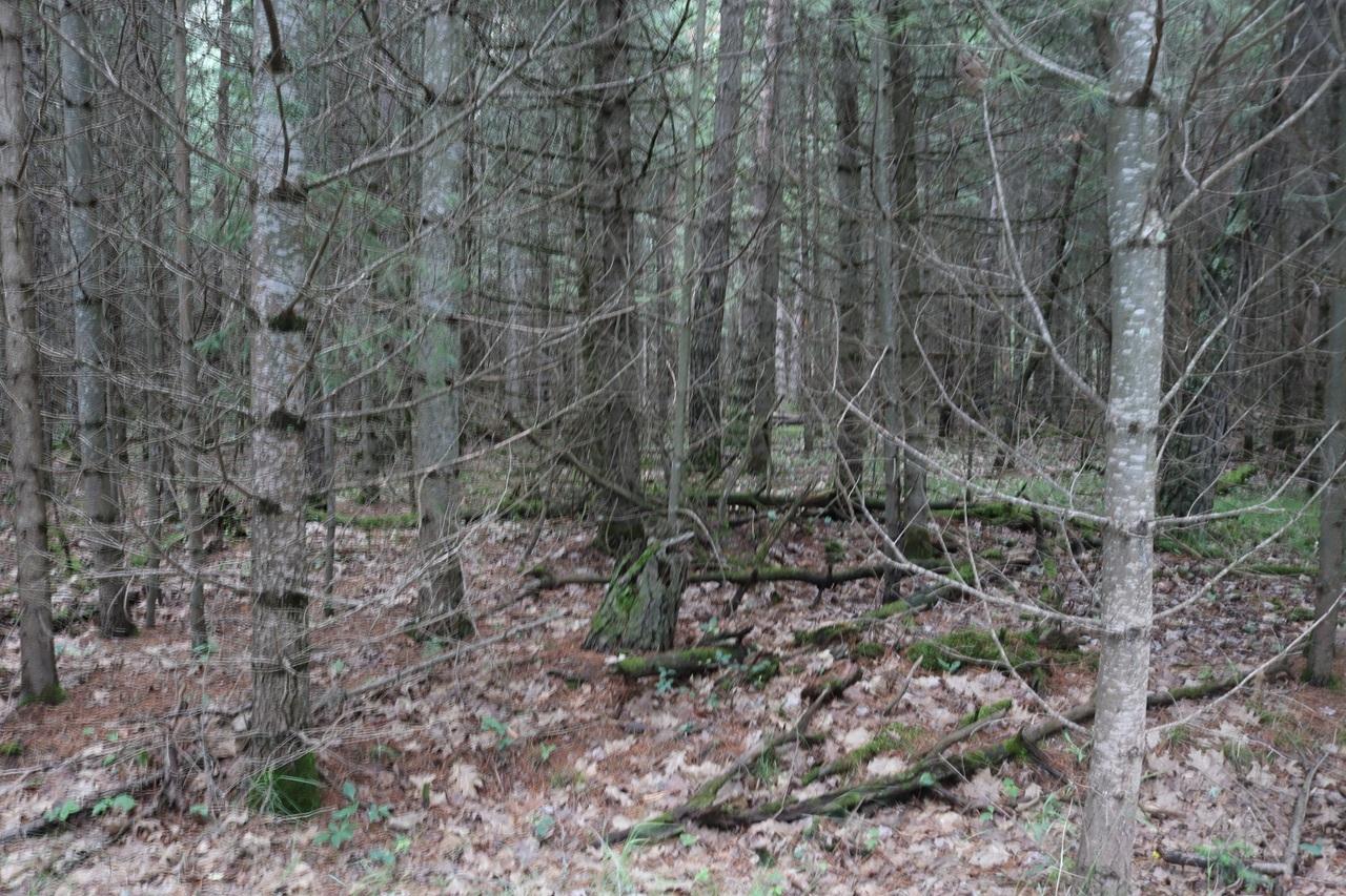 Lot 4 Cth J Mercer, WI 54547 - Photo 1 of 15 Gallery Image 1