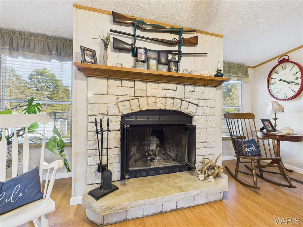 210 Ripley Route Fairdealing, MO 63939 - Photo 12 of 46