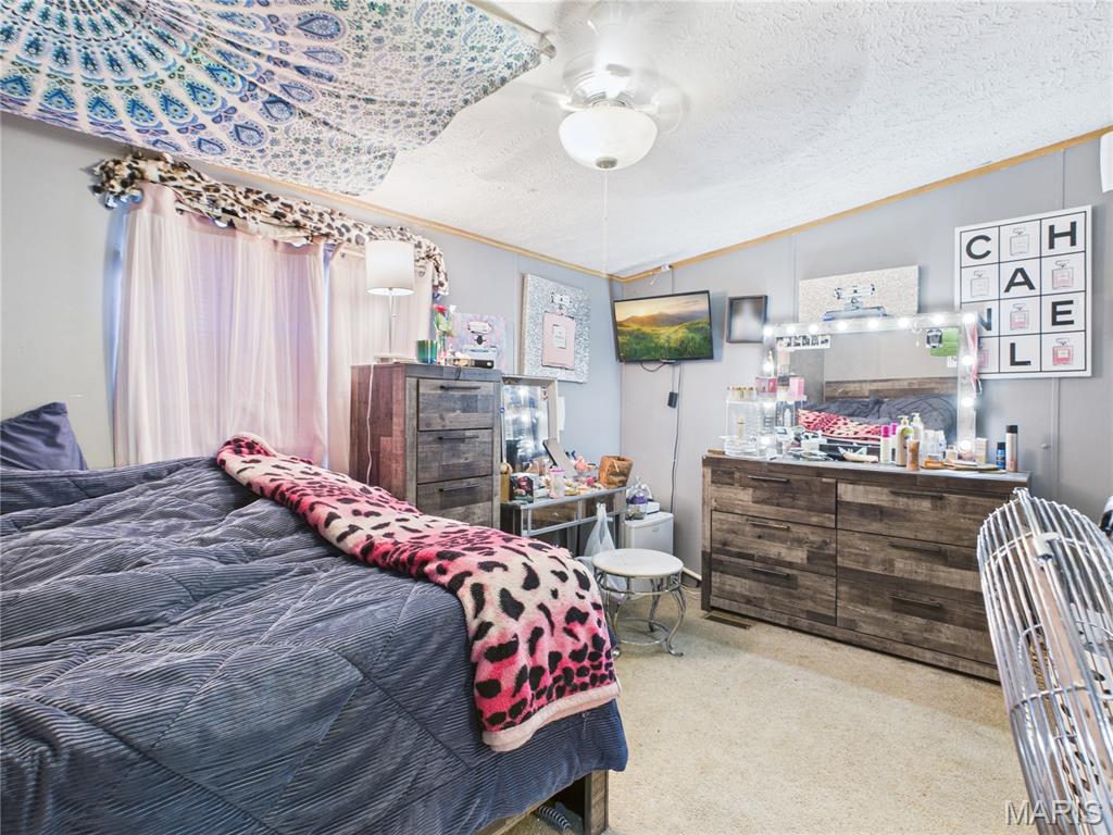 210 Ripley Route Fairdealing, MO 63939 - Photo 31 of 46