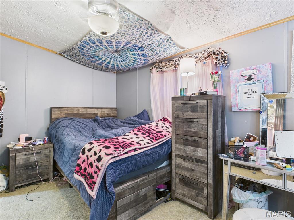 210 Ripley Route Fairdealing, MO 63939 - Photo 32 of 46