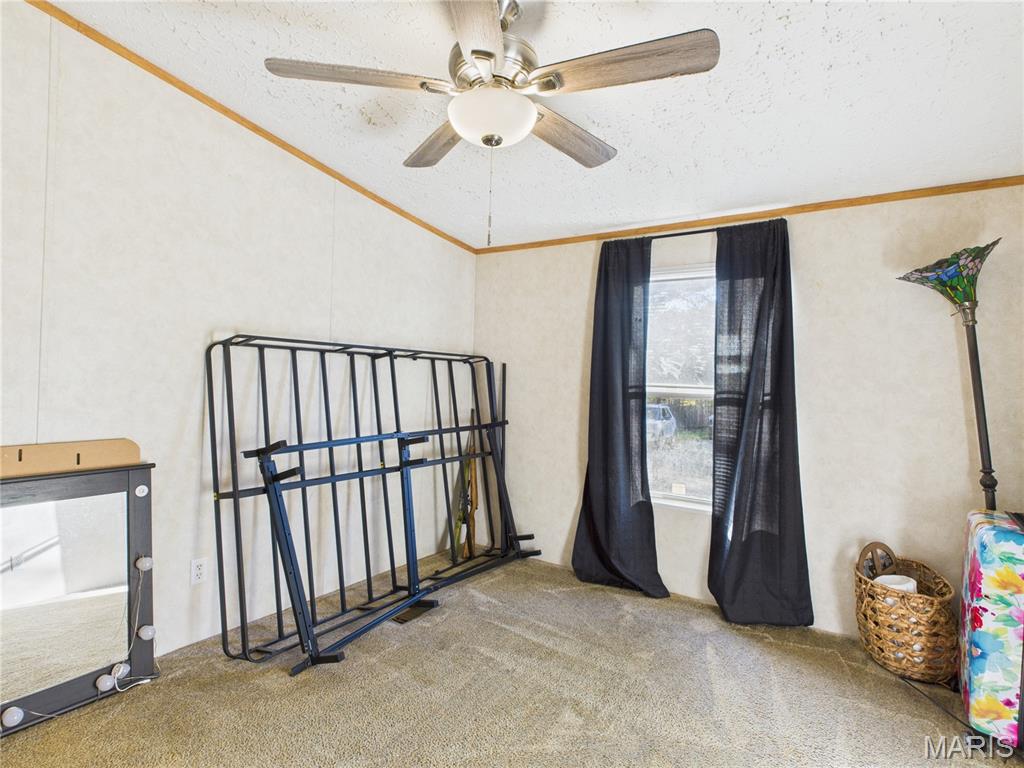 210 Ripley Route Fairdealing, MO 63939 - Photo 34 of 46