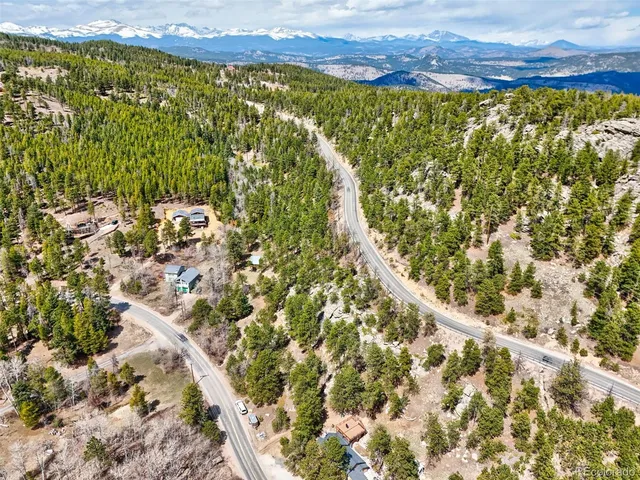 a close up of a plant