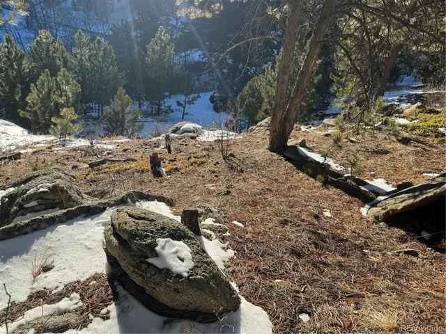 a view of a yard covered in snow
