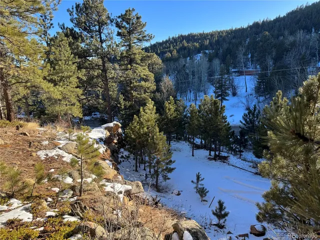 a view of a yard with a tree
