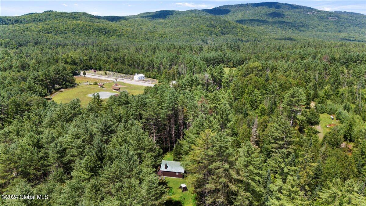 358 Irishtown Road Minerva, NY 12857 - Photo 21 of 26 01-DJI_20240807125621_0205_D