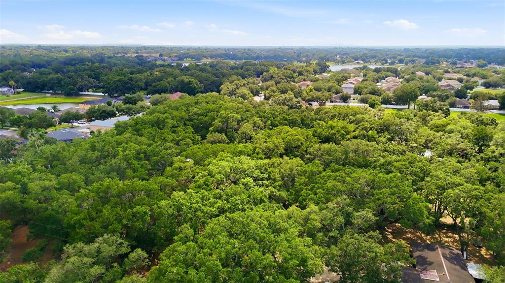 1918 Sydney Road Valrico, FL 33594 - Photo 34 of 35