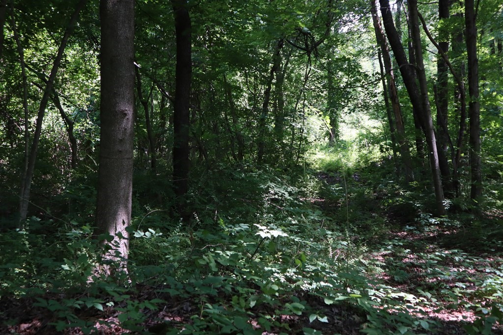 979 Chestnut Street Athol, MA 01331 - Photo 13 of 16