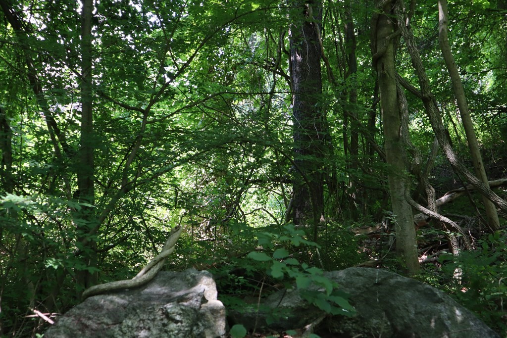 979 Chestnut Street Athol, MA 01331 - Photo 14 of 16