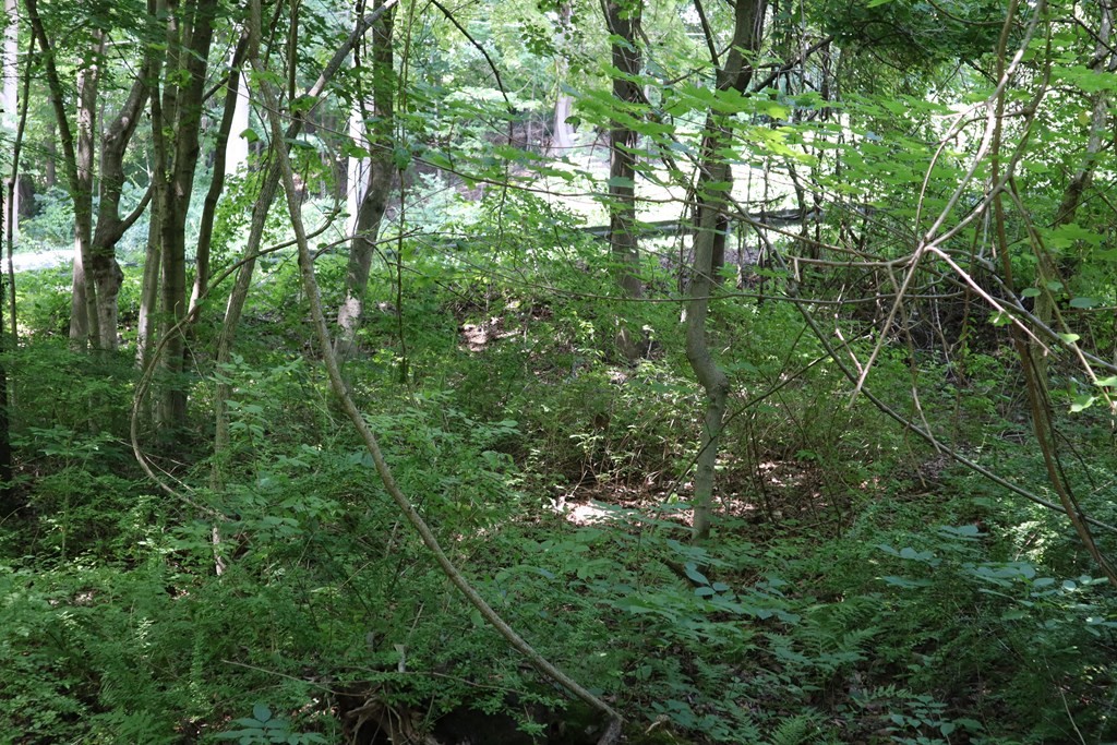 979 Chestnut Street Athol, MA 01331 - Photo 15 of 16