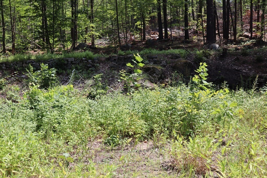 979 Chestnut Street Athol, MA 01331 - Photo 3 of 16