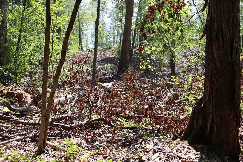 979 Chestnut Street Athol, MA 01331 - Photo 6 of 16