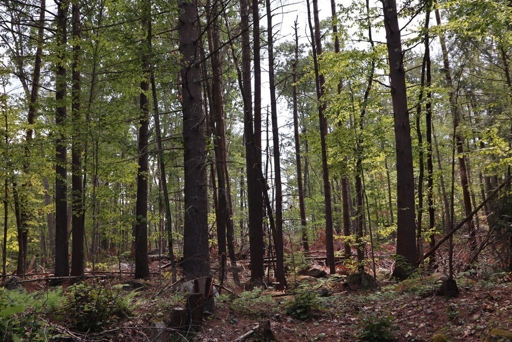 979 Chestnut Street Athol, MA 01331 - Photo 8 of 16