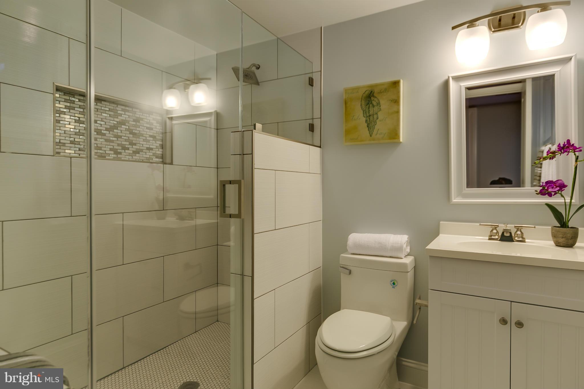 307 Adams Street Northeast Washington, DC 20002 - Photo 22 of 30 Bath