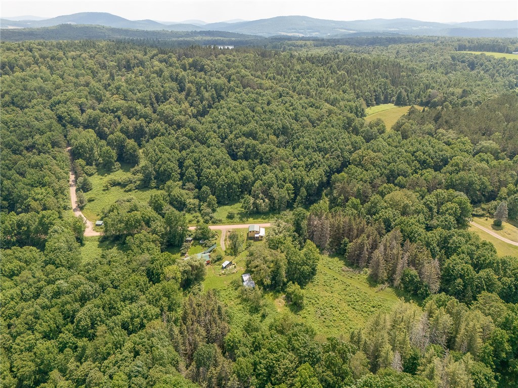 971 Stone Fort Road Kortright, NY 13750 - Photo 41 of 48