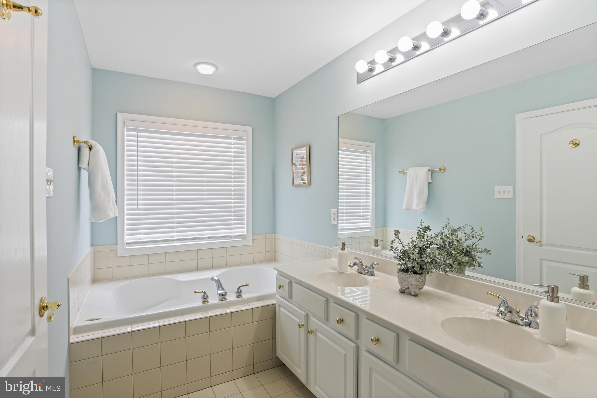 10232 Rutland Round Road, Unit 24 Columbia, MD 21044 - Photo 16 of 31 a bathroom with a tub a double vanity sink and mirror