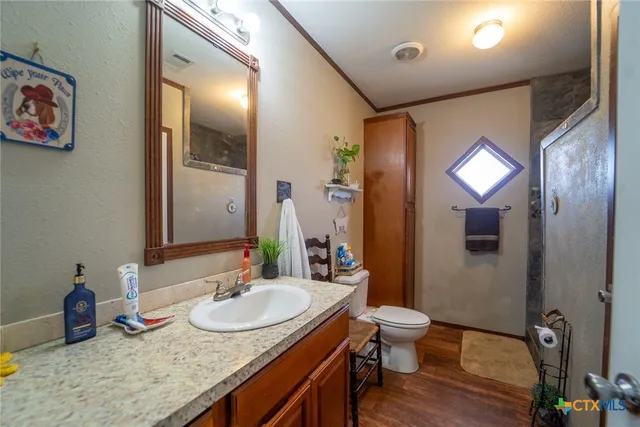 a bathroom with a granite countertop sink a toilet and a mirror