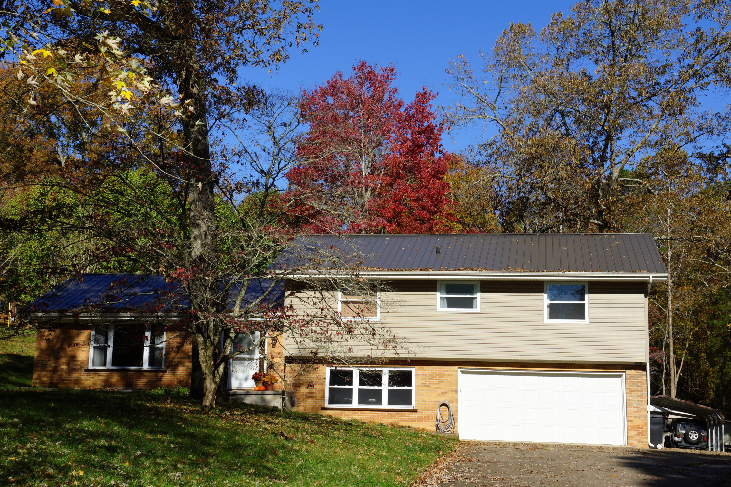 11 Dairypond Road