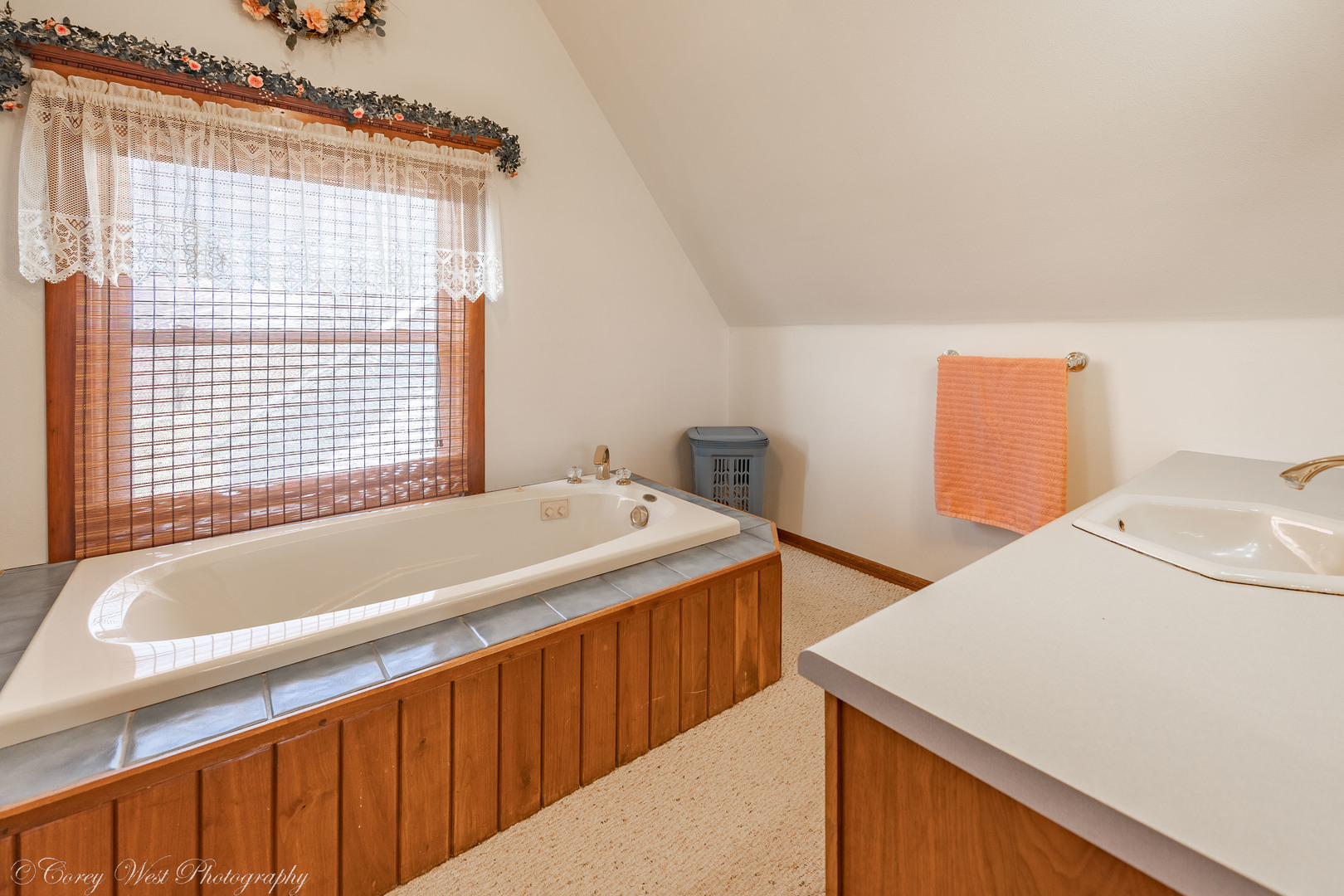 1137 Fisk Road Compton, IL 61318 - Photo 30 of 50 a bath tub sitting next to a white sink