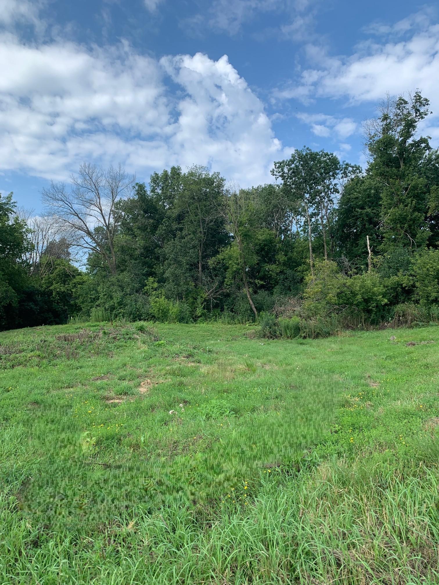 11700 Azure Lane Inver Grove Heights, MN 55077 - Photo 3 of 4