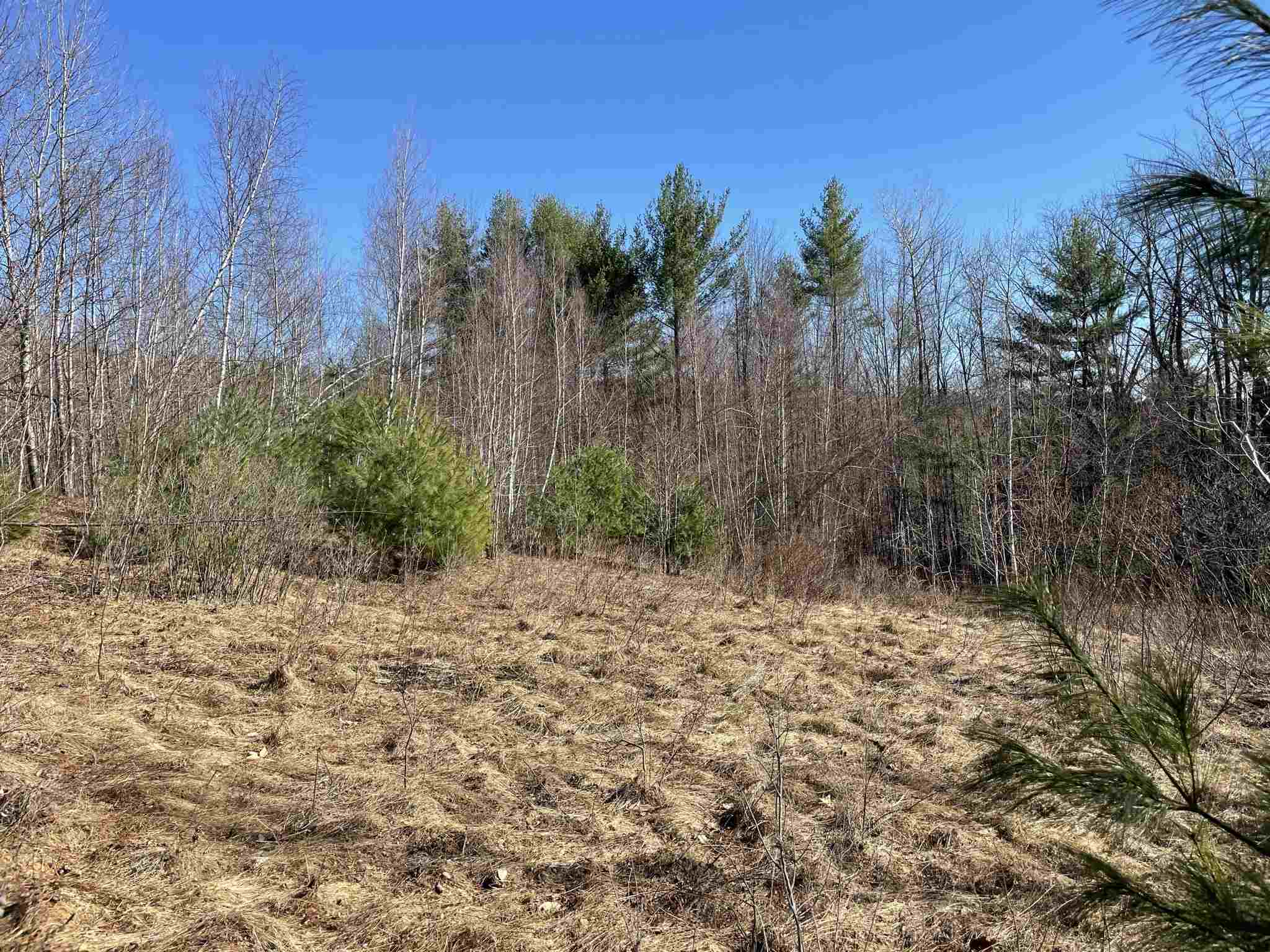 211-008 Rising Slopes Drive Bristol, NH 03222 - Photo 13 of 21 Gallery Image 13