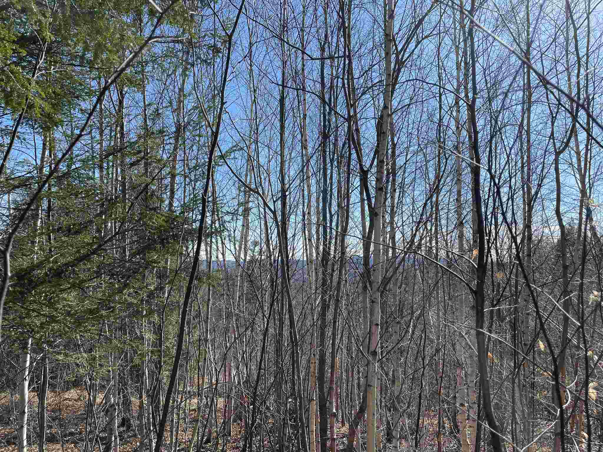 211-008 Rising Slopes Drive Bristol, NH 03222 - Photo 17 of 21 Gallery Image 17