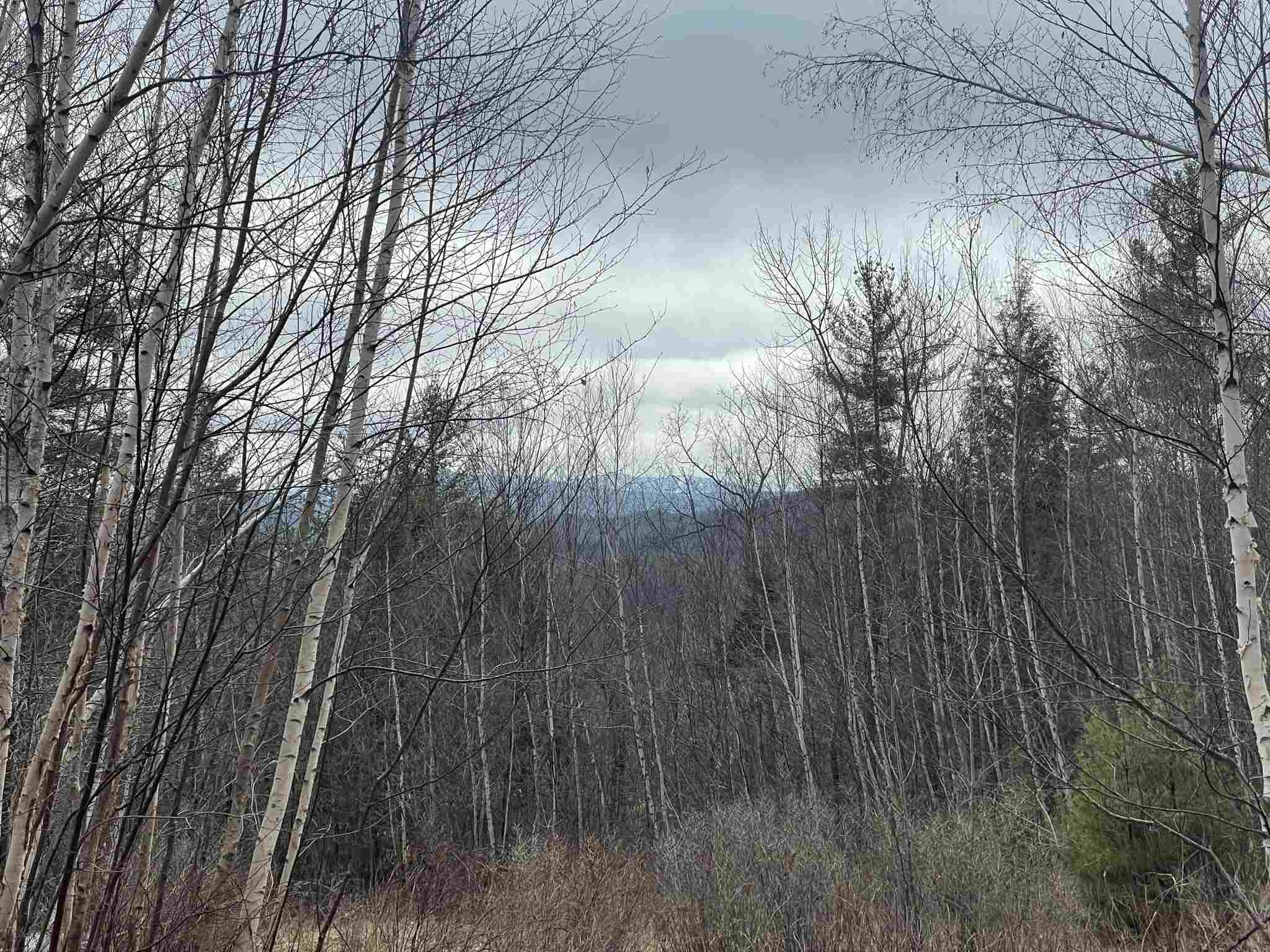 211-008 Rising Slopes Drive Bristol, NH 03222 - Photo 7 of 21 Gallery Image 7