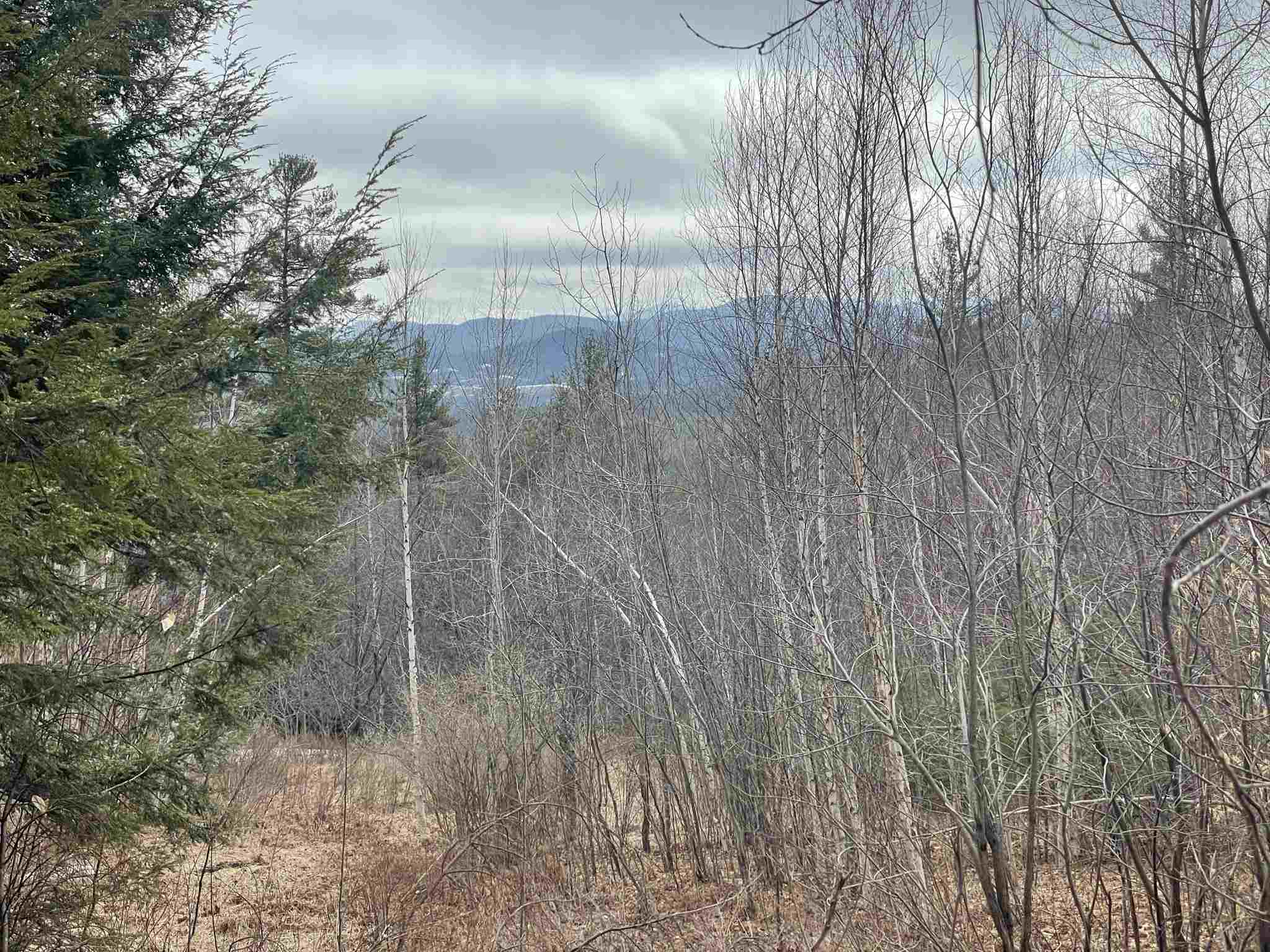 211-008 Rising Slopes Drive Bristol, NH 03222 - Photo 8 of 21 Gallery Image 8