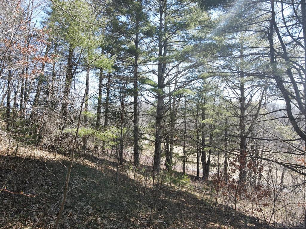 Tbd Pine Creek Road Cullowhee, NC 28723 - Photo 18 of 51 Gallery Image 18