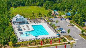 224 Hayworth Road Summerville, SC 29486 - Photo 33 of 49 pool2