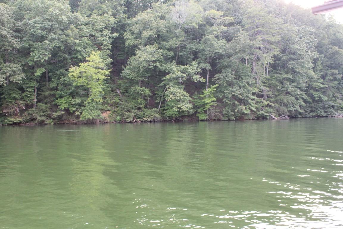 1438 Lodge Road Spring City, TN 37381 - Photo 36 of 40 lake view 2 (Medium)