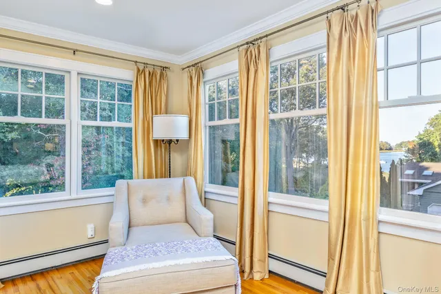 a view of a trees in a yard