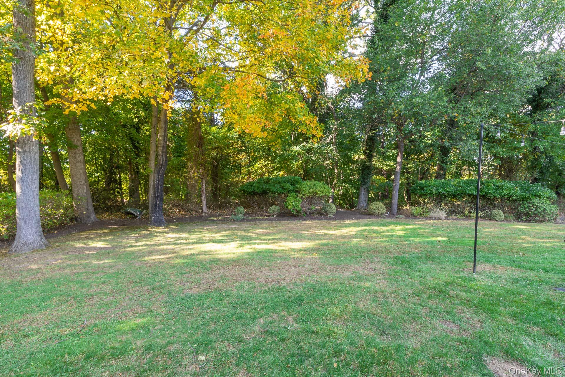 7 Shipyard Lane Setauket, NY 11733 - Photo 30 of 32 a view of a trees in a yard