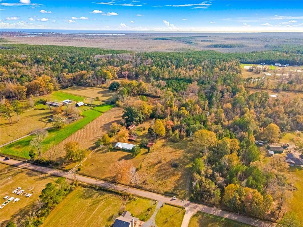 28138 South Sam Arnold Loop Ponchatoula, LA 70454 - Photo 20 of 25