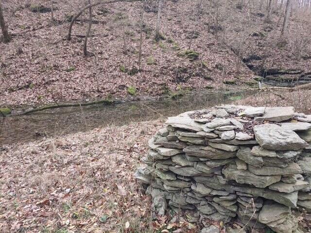 1700 Cummins Ferry Road Salvisa, KY 40372 - Photo 3 of 16 2252151577461189550