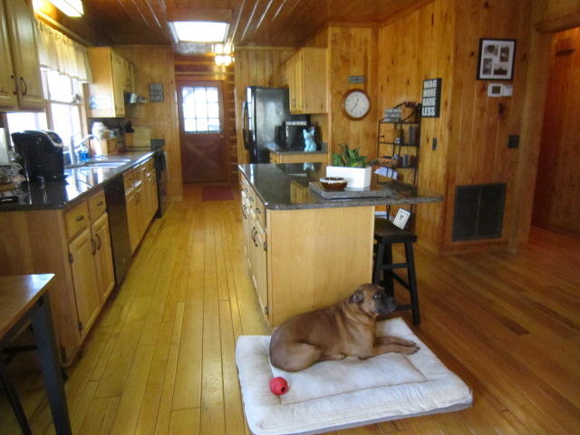 1396 Angle Plantation Road Rocky Mount, VA 24151 - Photo 31 of 31 Kitchen 2