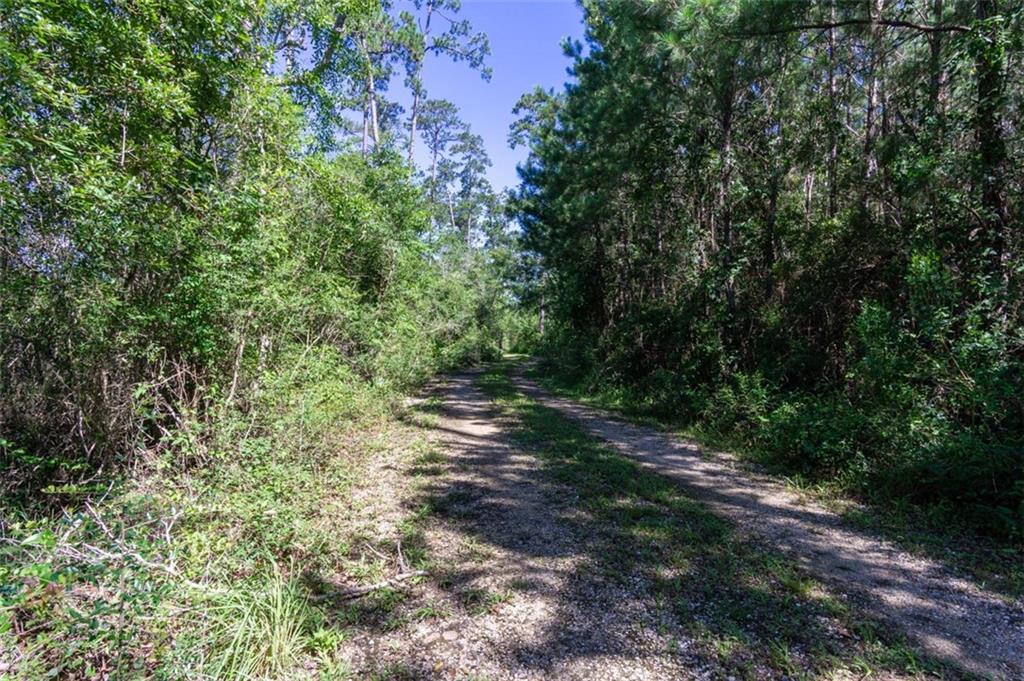 34373 Bayou Liberty Road Slidell, LA 70460 - Photo 3 of 24