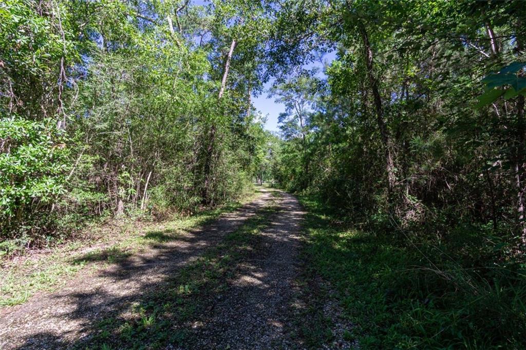 34373 Bayou Liberty Road Slidell, LA 70460 - Photo 4 of 24
