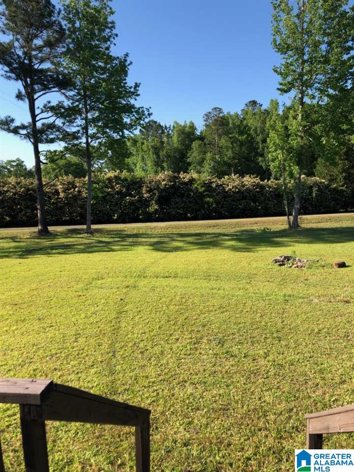 44 Merrell Beach Road Shelby, AL 35143 - Photo 6 of 10