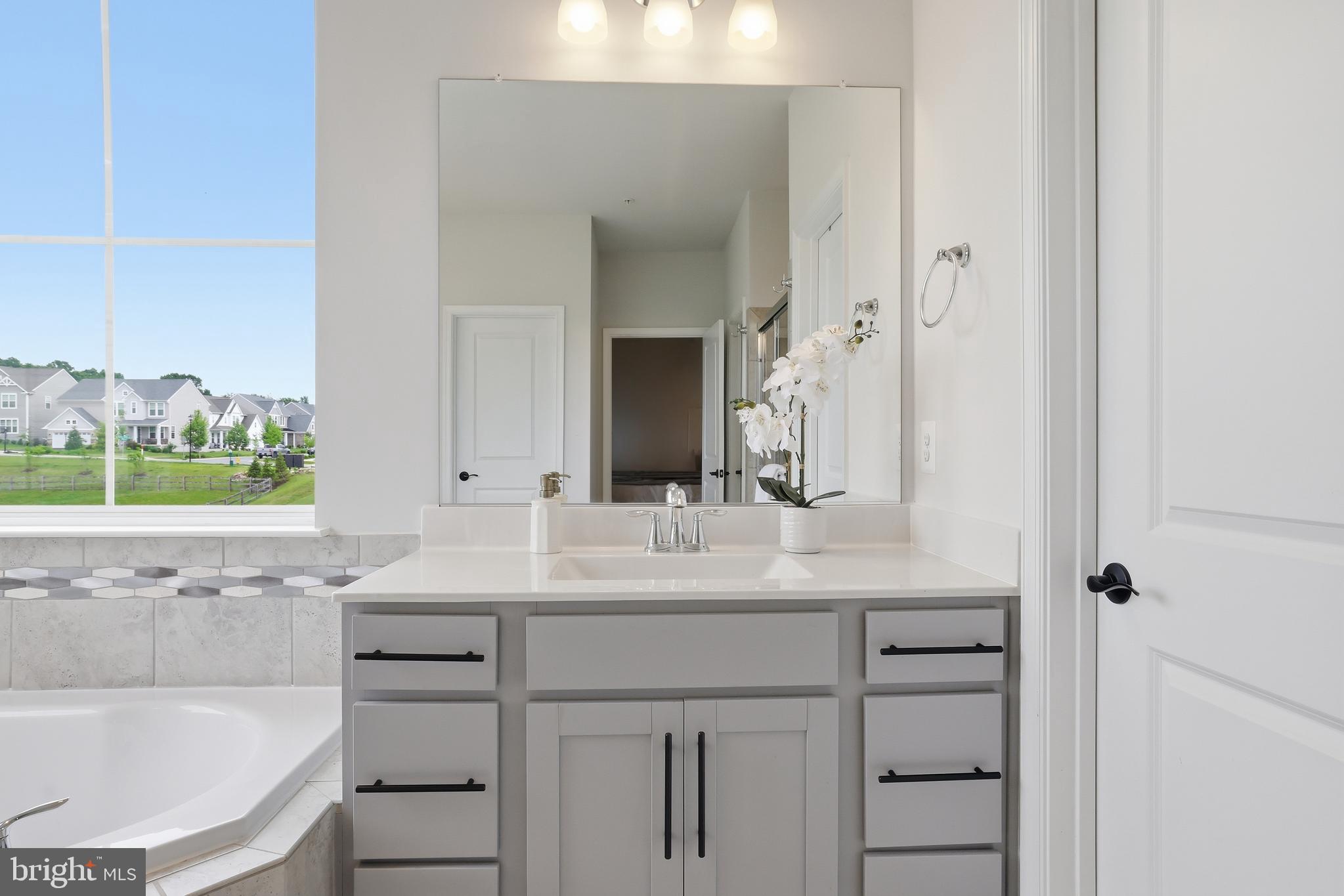 5707 Hawk Ridge Road Frederick, MD 21704 - Photo 46 of 109 a bathroom with a sink and a bathtub