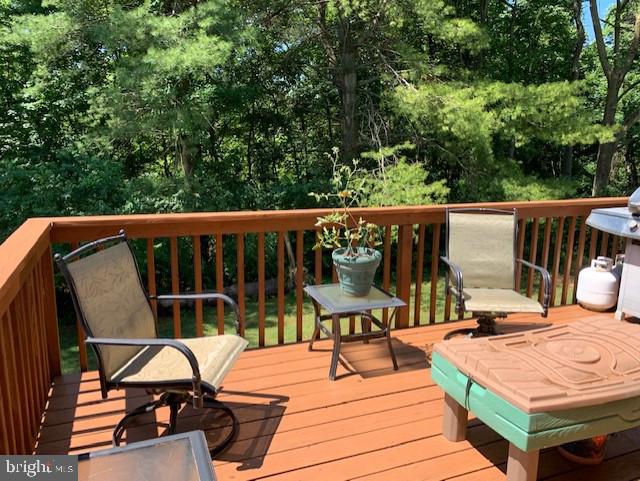 34 Ruth Road Brookhaven, PA 19015 - Photo 25 of 31 Fabulous backyard getaway