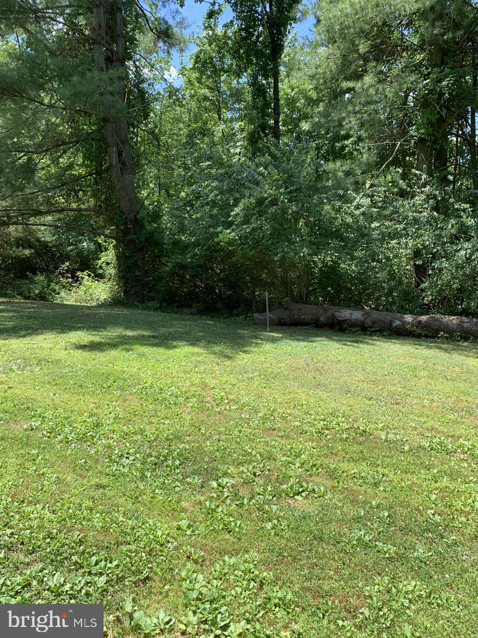 34 Ruth Road Brookhaven, PA 19015 - Photo 26 of 31 Woods view