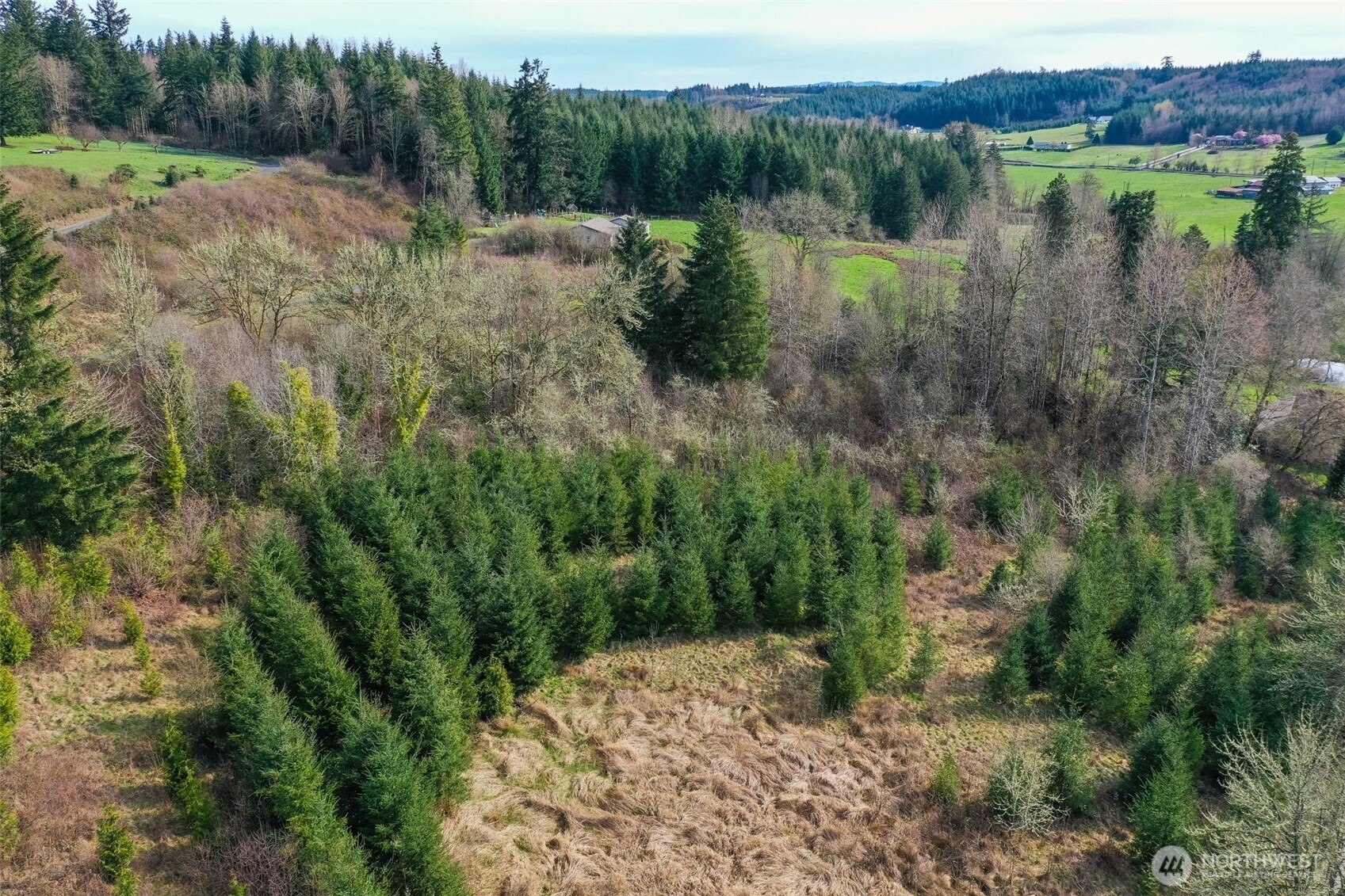 208 Sanderson Road Chehalis, WA 98532 - Photo 12 of 28 a view of lake with green space