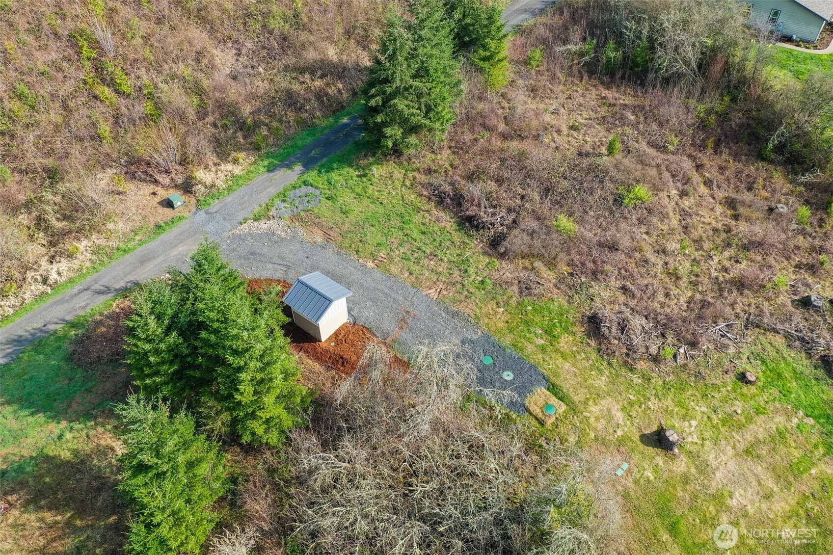 208 Sanderson Road Chehalis, WA 98532 - Photo 16 of 28 a plant that is in a garden