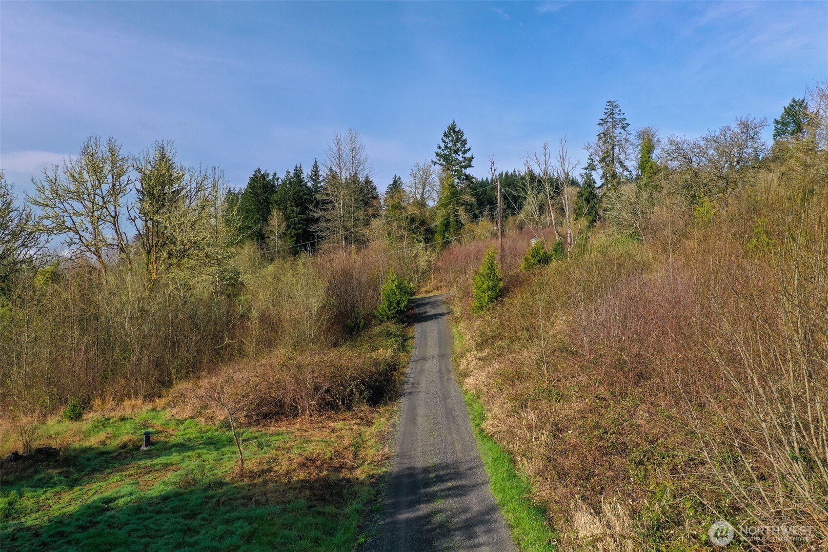 208 Sanderson Road Chehalis, WA 98532 - Photo 18 of 28 a view of a yard with a house in the background