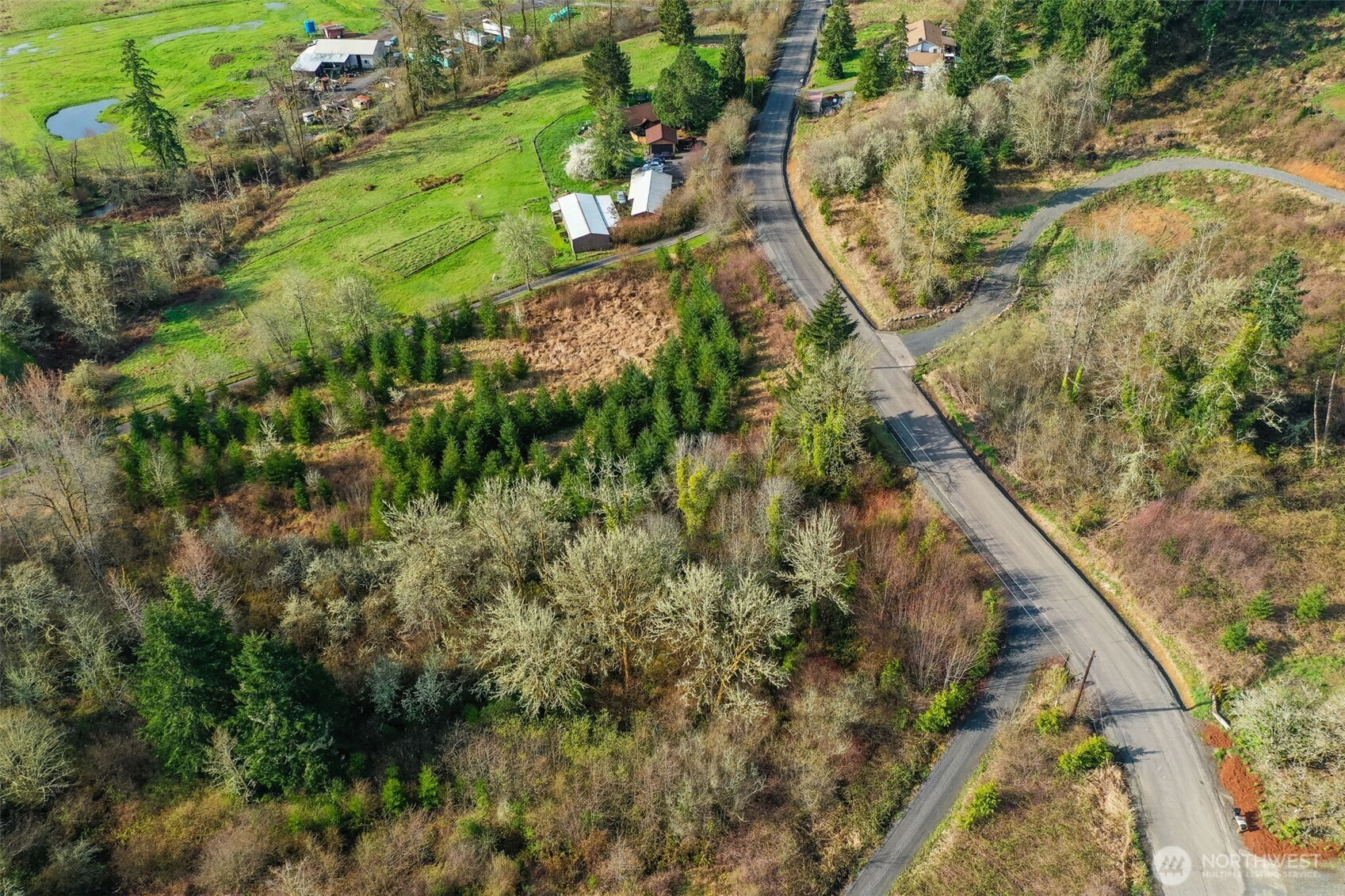 208 Sanderson Road Chehalis, WA 98532 - Photo 19 of 28 a view of a yard with plants