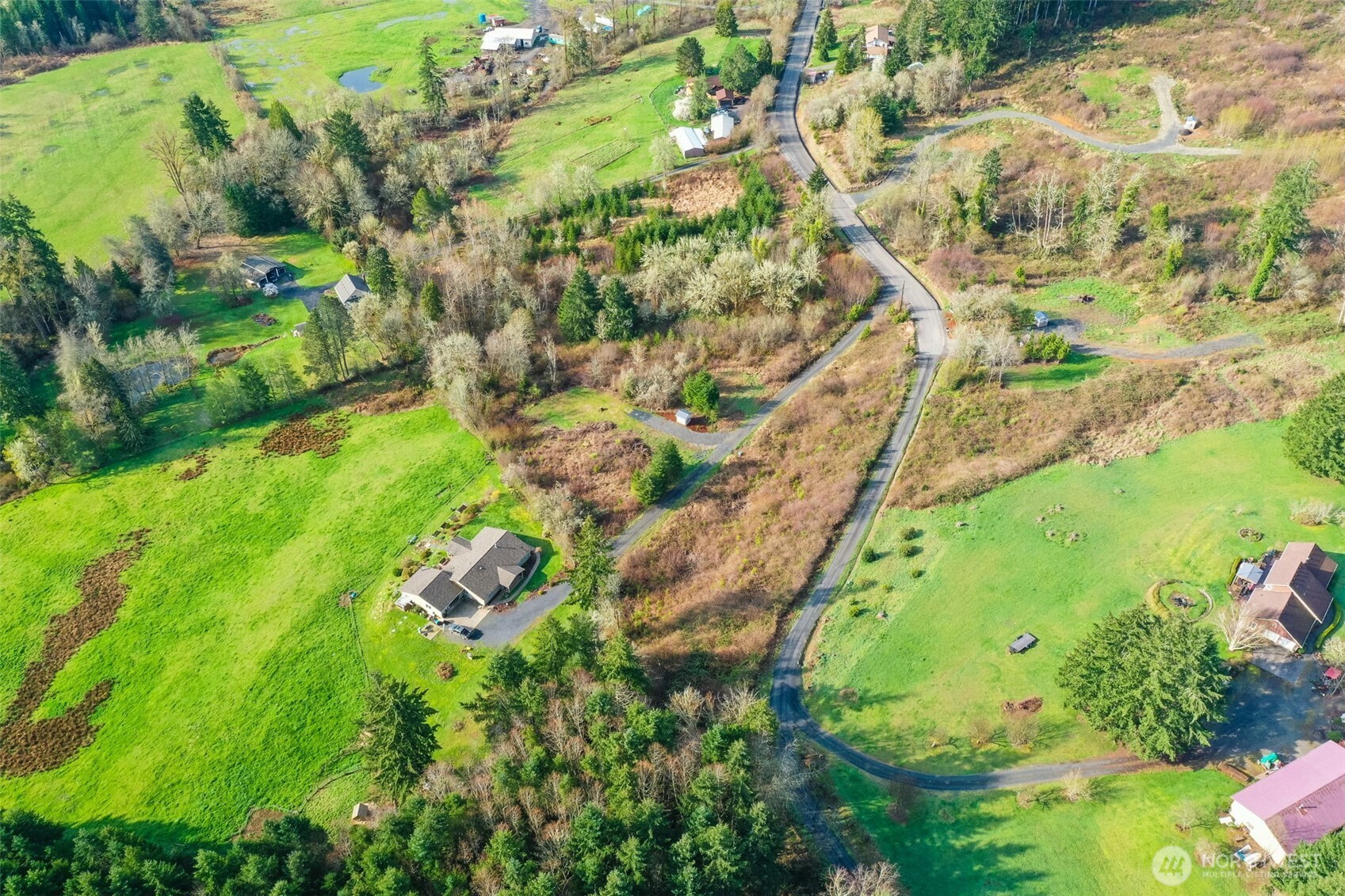 208 Sanderson Road Chehalis, WA 98532 - Photo 22 of 28 a view of a yard with plants